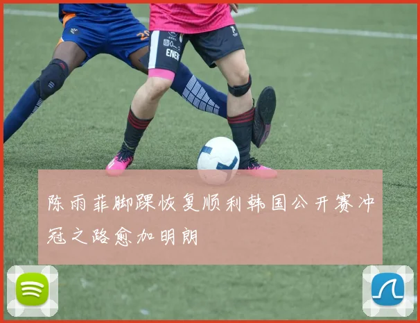 陈雨菲脚踝恢复顺利韩国公开赛冲冠之路愈加明朗